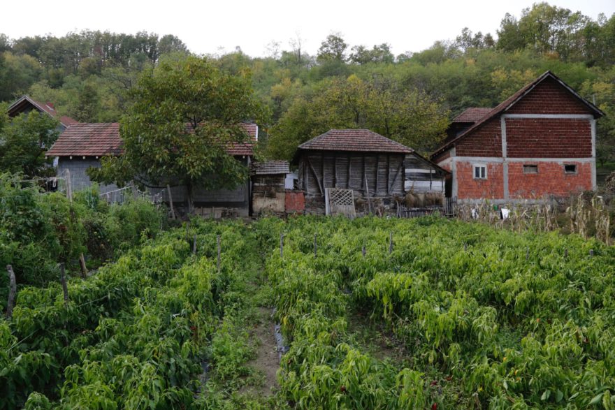 Ein typischer Hof in Popovci bei Lebane