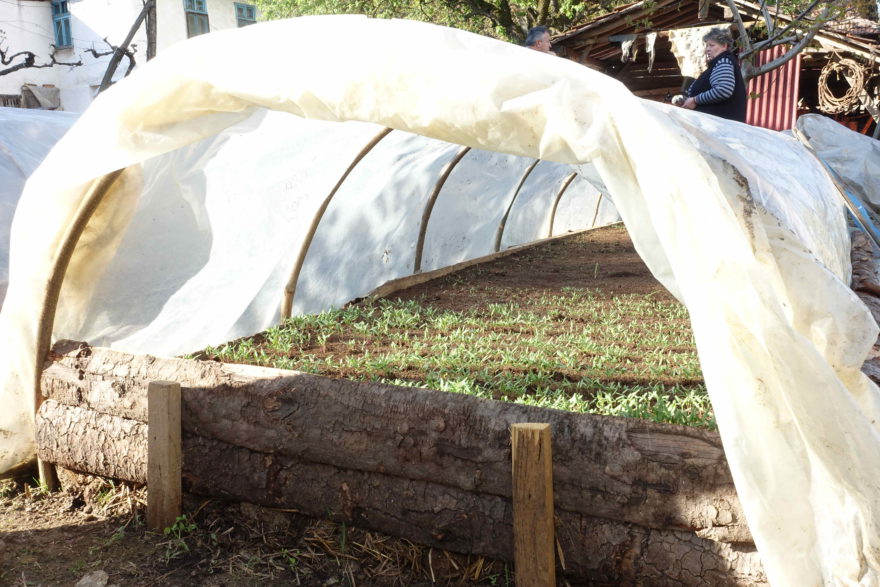 Ein Tunnel zur Aufzucht von Setzlingen