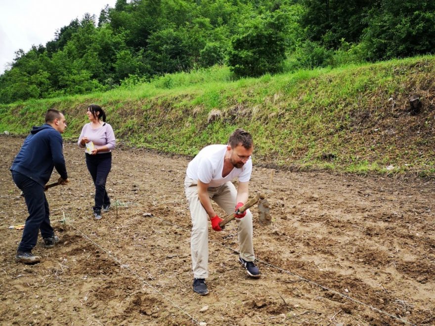 Der neue Biogarten wird beackert