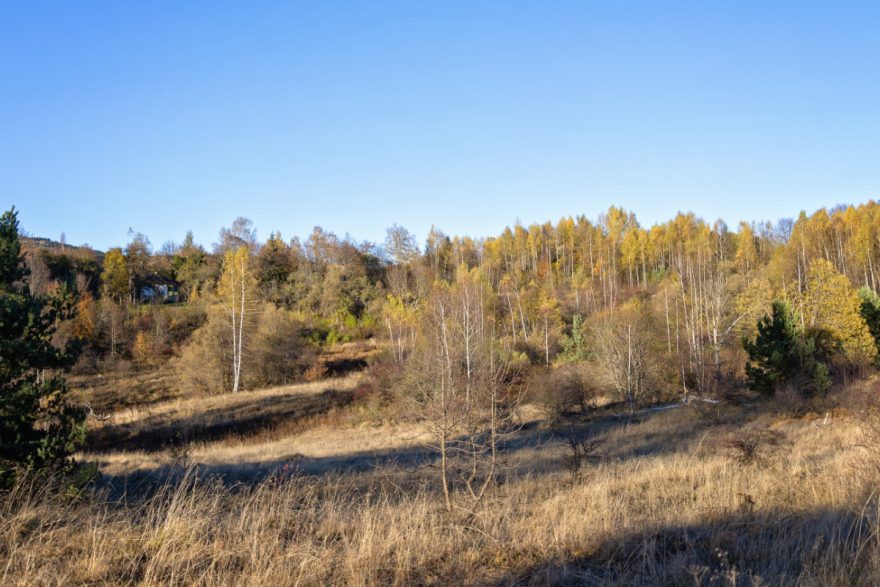 Wildnis bei Bosilegrad