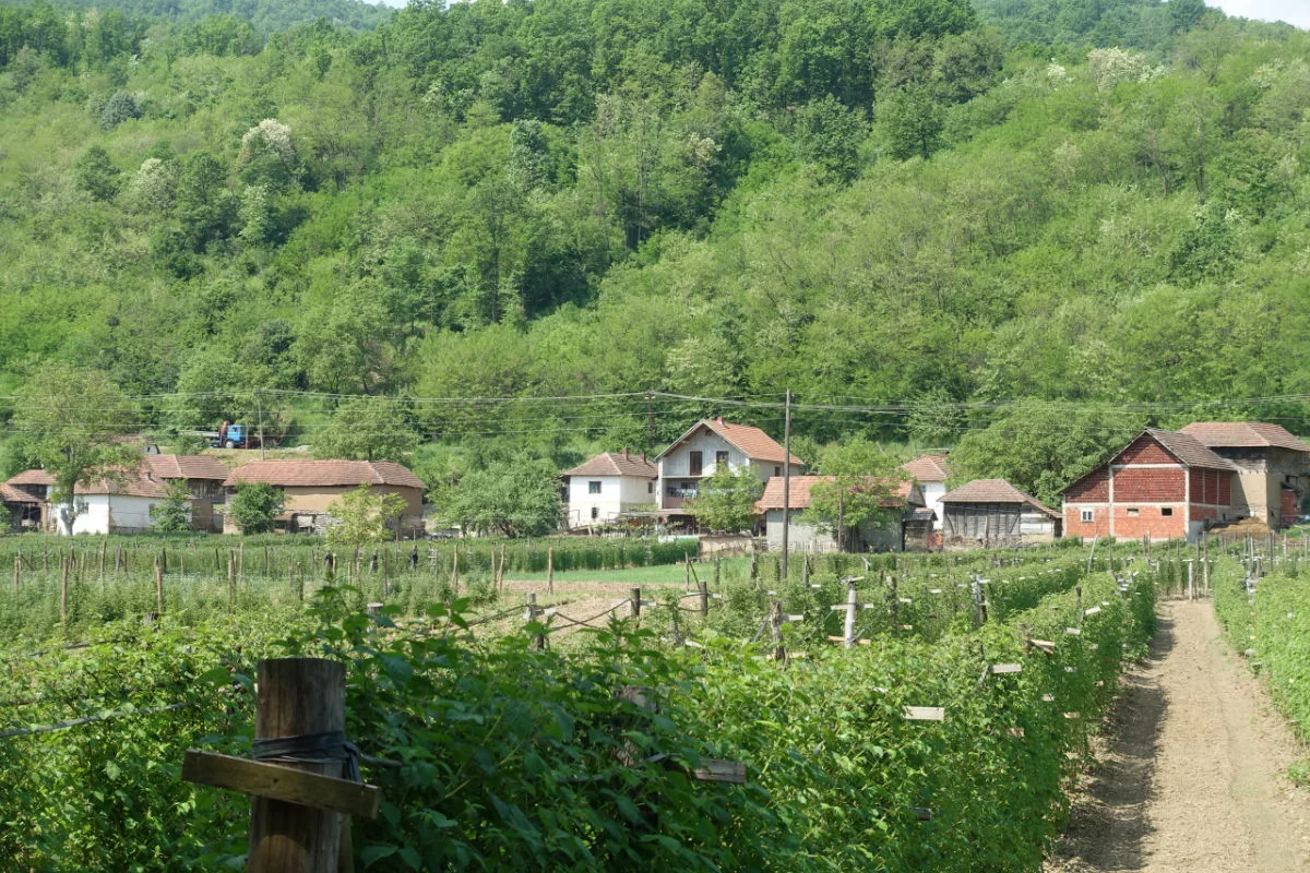 Bauernhof in Pupovci, Serbien