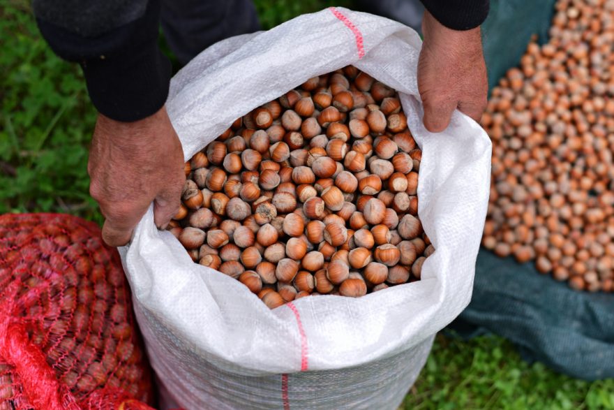 Allerbeste Nüsse in Hülle und Fülle
