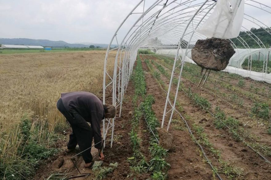 Das passiert, wenn es keine Maßnahmen zum Klimaschutz gibt: Sturmschäden