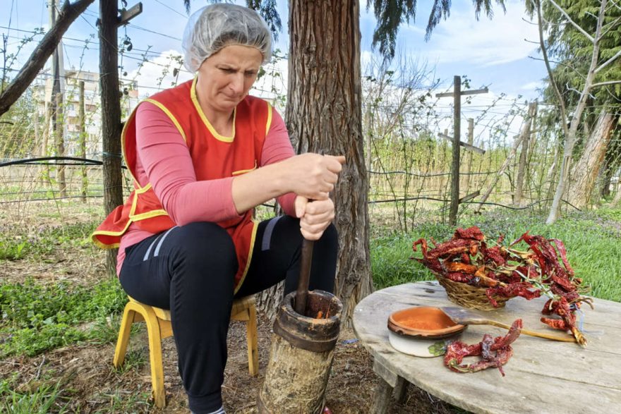 Arbeiterin von Radanska Ruza beim Zerstossen von Paprika