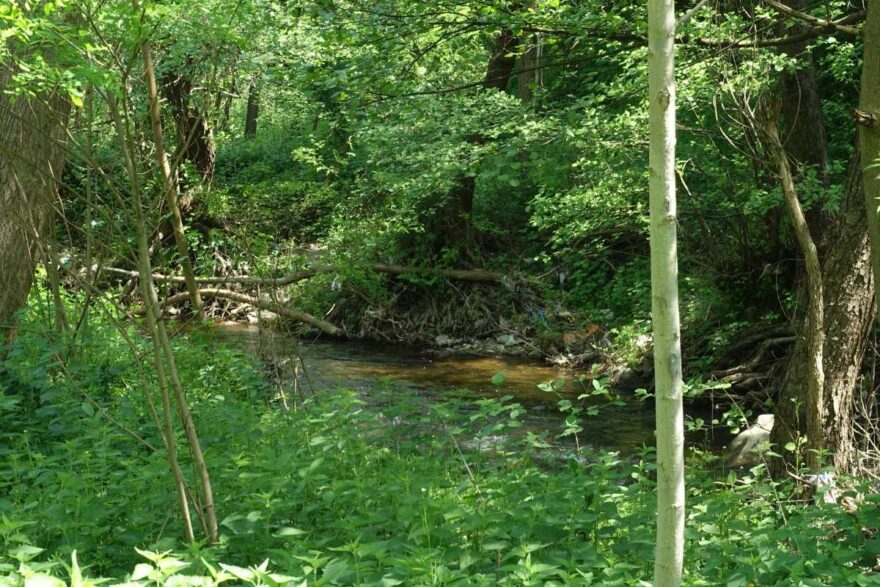 Das Flüsschen Šumanka bei Lebane