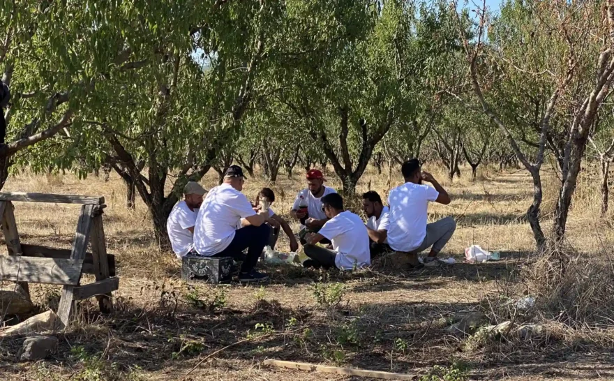 Nachhaltige Lieferkette, Erntearbeiter machen Pause im Mandelhain 