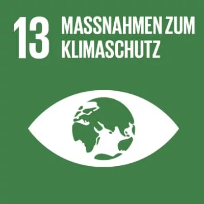 Logo SDG 13